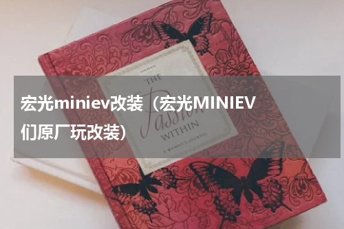 宏光miniev改装（宏光MINIEV们原厂玩改装）