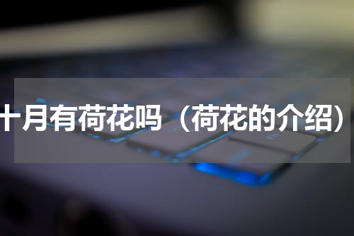 十月有荷花吗（荷花的介绍）