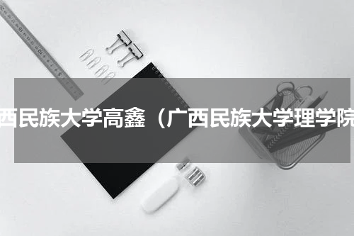 广西民族大学高鑫（广西民族大学理学院）