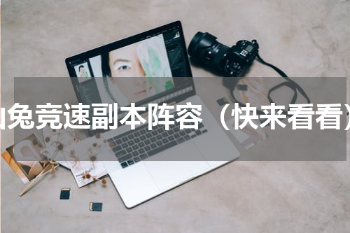 山兔竞速副本阵容（快来看看）