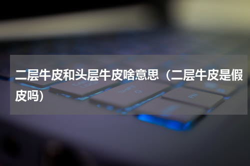 二层牛皮和头层牛皮啥意思（二层牛皮是假皮吗）