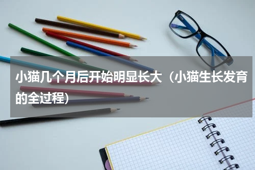 小猫几个月后开始明显长大（小猫生长发育的全过程）