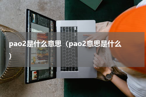 pao2是什么意思（pao2意思是什么）