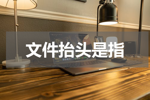 文件抬头是指