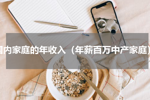 国内家庭的年收入（年薪百万中产家庭）