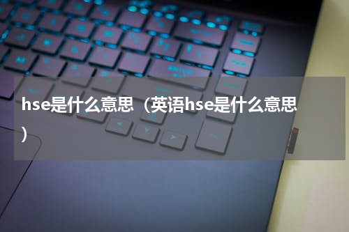 hse是什么意思（英语hse是什么意思）