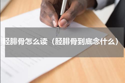 胫腓骨怎么读（胫腓骨到底念什么）