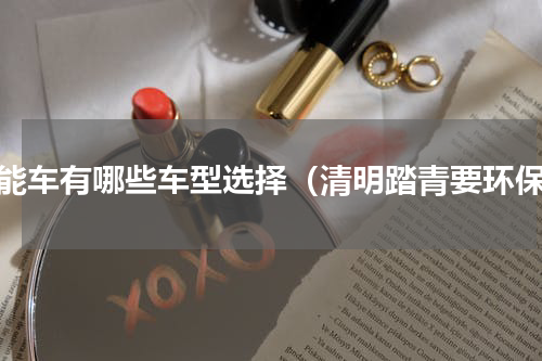 节能车有哪些车型选择（清明踏青要环保）