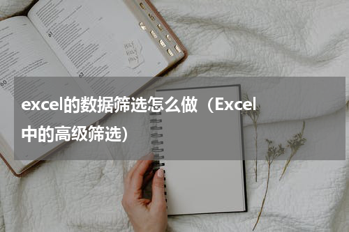 excel的数据筛选怎么做（Excel中的高级筛选）