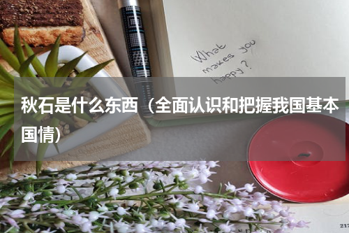 秋石是什么东西（全面认识和把握我国基本国情）