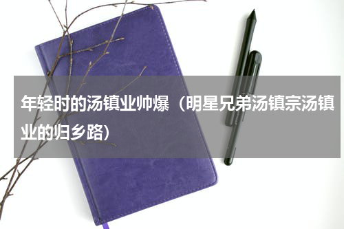 年轻时的汤镇业帅爆（明星兄弟汤镇宗汤镇业的归乡路）