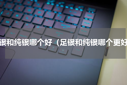 足银和纯银哪个好（足银和纯银哪个更好）