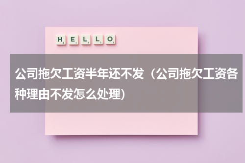 公司拖欠工资半年还不发（公司拖欠工资各种理由不发怎么处理）