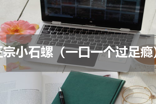正宗小石螺（一口一个过足瘾）