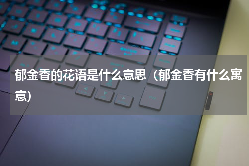 郁金香的花语是什么意思（郁金香有什么寓意）