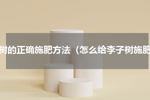 李树的正确施肥方法（怎么给李子树施肥）