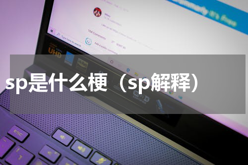 sp是什么梗（sp解释）