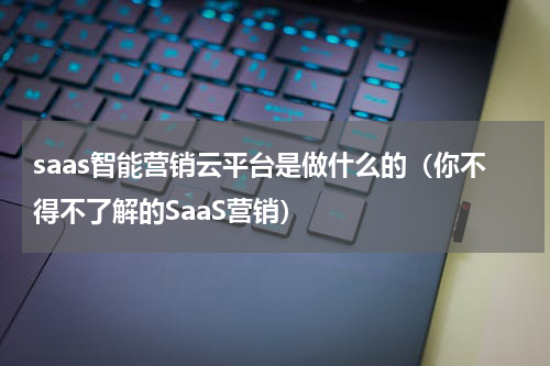 saas智能营销云平台是做什么的（你不得不了解的SaaS营销）