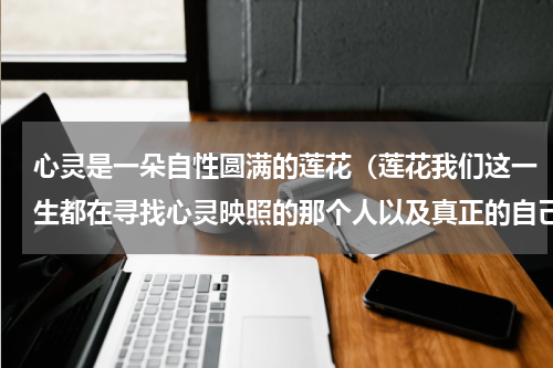 心灵是一朵自性圆满的莲花（莲花我们这一生都在寻找心灵映照的那个人以及真正的自己）