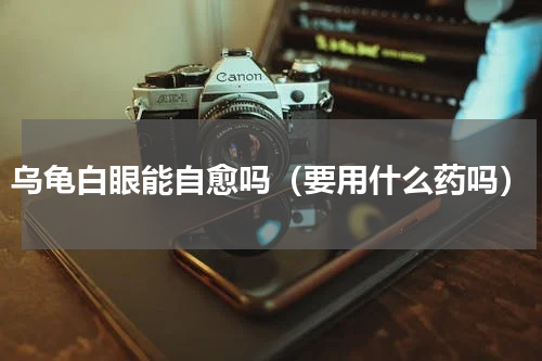 乌龟白眼能自愈吗（要用什么药吗）