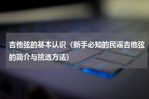 吉他弦的基本认识（新手必知的民谣吉他弦的简介与挑选方法）