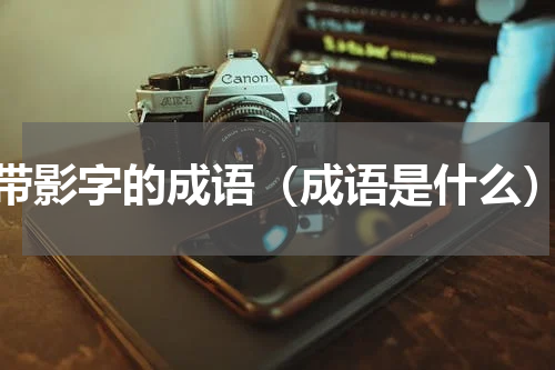 带影字的成语（成语是什么）