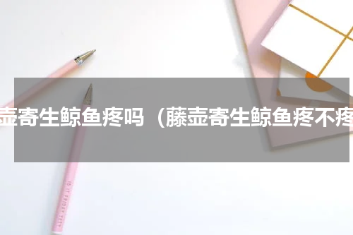 藤壶寄生鲸鱼疼吗（藤壶寄生鲸鱼疼不疼）