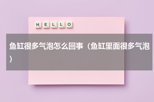 鱼缸很多气泡怎么回事（鱼缸里面很多气泡）