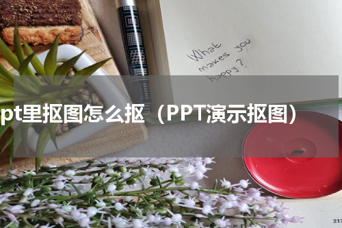 ppt里抠图怎么抠（PPT演示抠图）