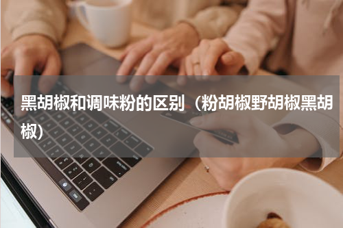 黑胡椒和调味粉的区别（粉胡椒野胡椒黑胡椒）