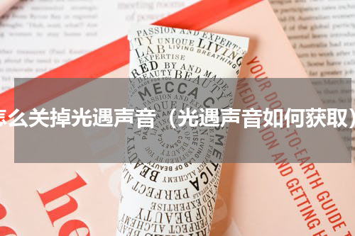 怎么关掉光遇声音（光遇声音如何获取）
