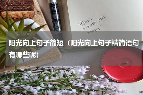 阳光向上句子简短（阳光向上句子精简语句有哪些呢）