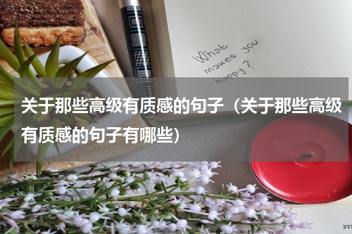 关于那些高级有质感的句子（关于那些高级有质感的句子有哪些）