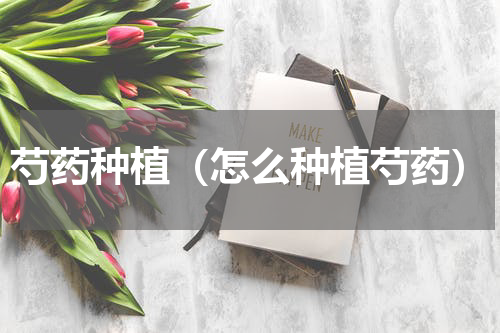 芍药种植（怎么种植芍药）