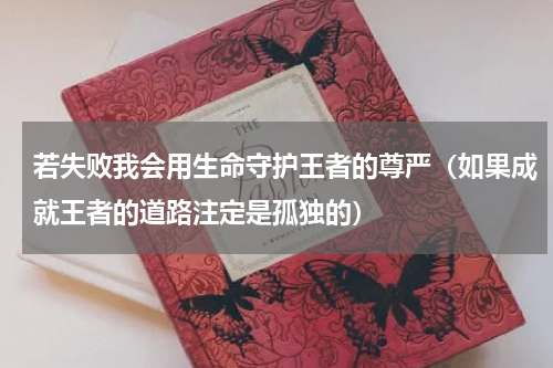 若失败我会用生命守护王者的尊严（如果成就王者的道路注定是孤独的）
