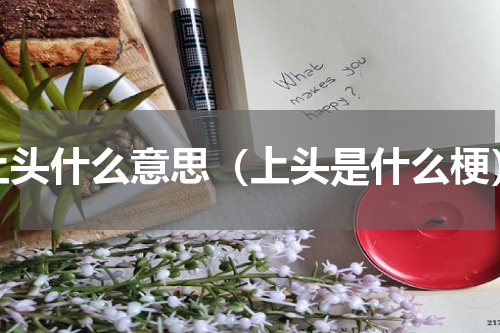 上头什么意思（上头是什么梗）