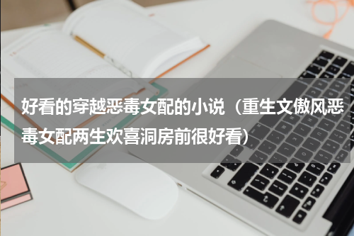 好看的穿越恶毒女配的小说（重生文傲风恶毒女配两生欢喜洞房前很好看）