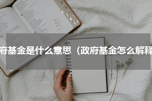 政府基金是什么意思（政府基金怎么解释）