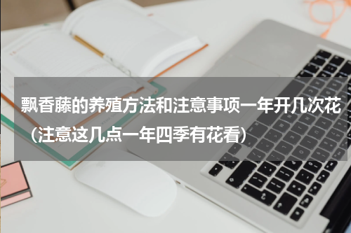 飘香藤的养殖方法和注意事项一年开几次花（注意这几点一年四季有花看）