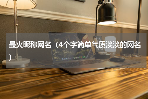 最火昵称网名（4个字简单气质淡淡的网名）