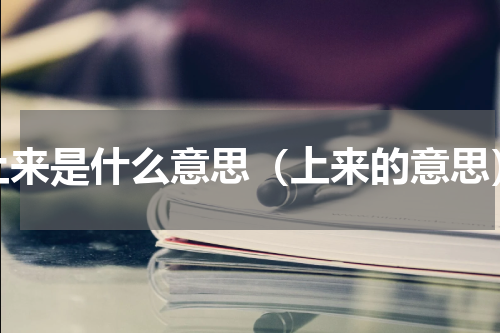 上来是什么意思（上来的意思）