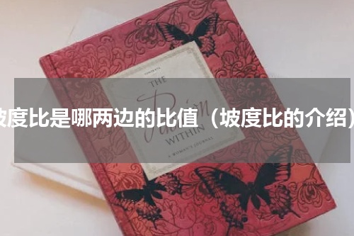 坡度比是哪两边的比值（坡度比的介绍）
