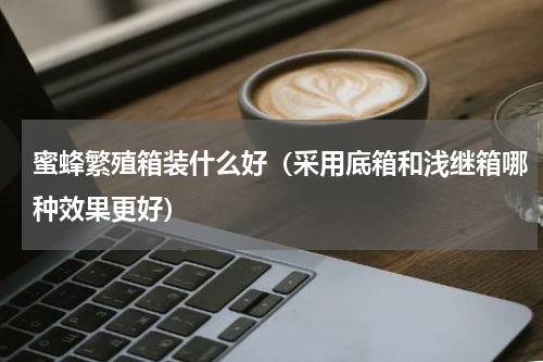 蜜蜂繁殖箱装什么好（采用底箱和浅继箱哪种效果更好）