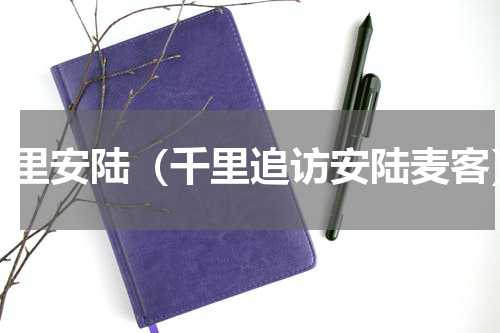 千里安陆（千里追访安陆麦客）