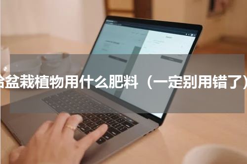 给盆栽植物用什么肥料（一定别用错了）