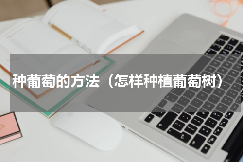 种葡萄的方法（怎样种植葡萄树）