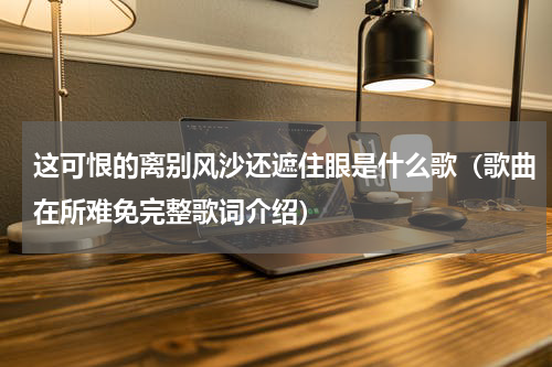 这可恨的离别风沙还遮住眼是什么歌（歌曲在所难免完整歌词介绍）