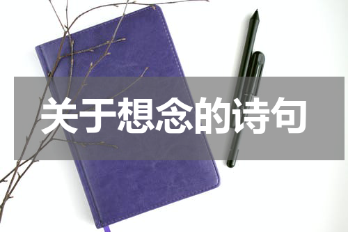 关于想念的诗句