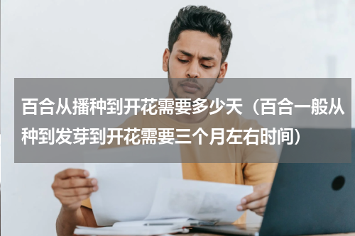 百合从播种到开花需要多少天（百合一般从种到发芽到开花需要三个月左右时间）