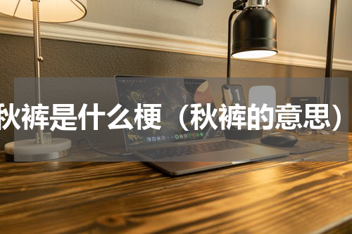 秋裤是什么梗（秋裤的意思）
